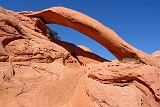USA cobra arch.JPG